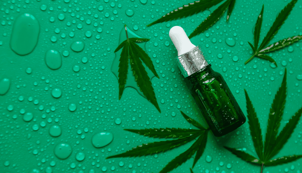 grĂĽne Cannabis Pflanze und Extrakt auf grĂĽnem Hintergrund